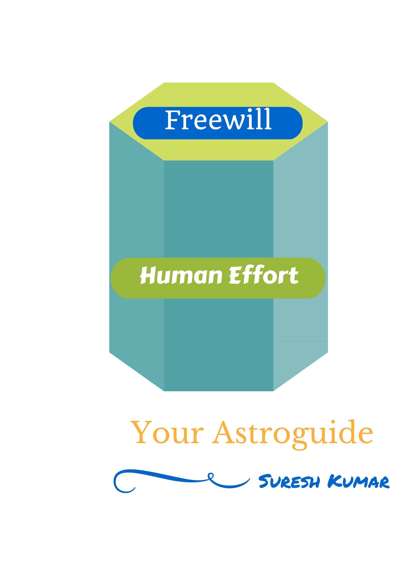 Freewill